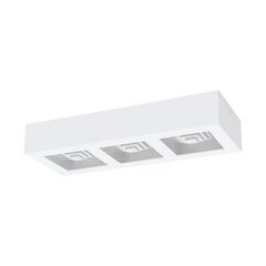 FERREROS wall / ceiling light цена и информация | Потолочные светильники | hansapost.ee