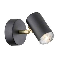 Настенный светильник Argon Lagos цена и информация | Настенные светильники | hansapost.ee