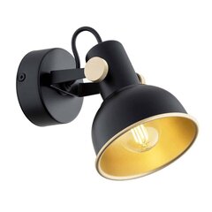 Argon настенный светильник Lenora цена и информация | Настенные светильники | hansapost.ee