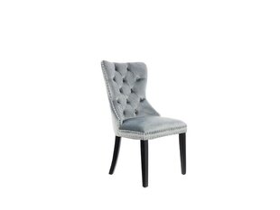 Набор из 2-х стульев BRW Charlot, серый цена и информация | Стулья для кухни и столовой | hansapost.ee