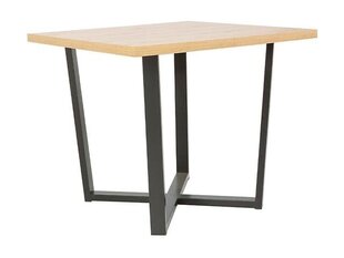 Обеденный стол BRW Dolan, коричневый цена и информация | Кухонные и обеденные столы | hansapost.ee