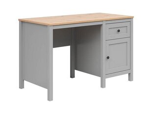 Письменный стол BRW Salga, серый цена и информация | Детские письменные столы | hansapost.ee