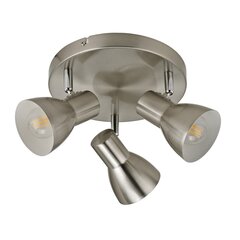 Настенный светильник Riado  SPL-3422-3-SN цена и информация | Потолочные светильники | hansapost.ee