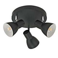 Настенный светильник Riado  SPL-3422-3-BL цена и информация | Потолочные светильники | hansapost.ee