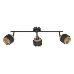 Настенный светильник Renez  SPL-95820-3 цена и информация | Потолочные светильники | hansapost.ee