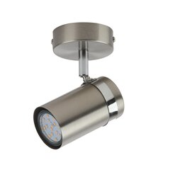 Настенный светильник Palmoni  SPL-2024-1 цена и информация | Потолочные светильники | hansapost.ee