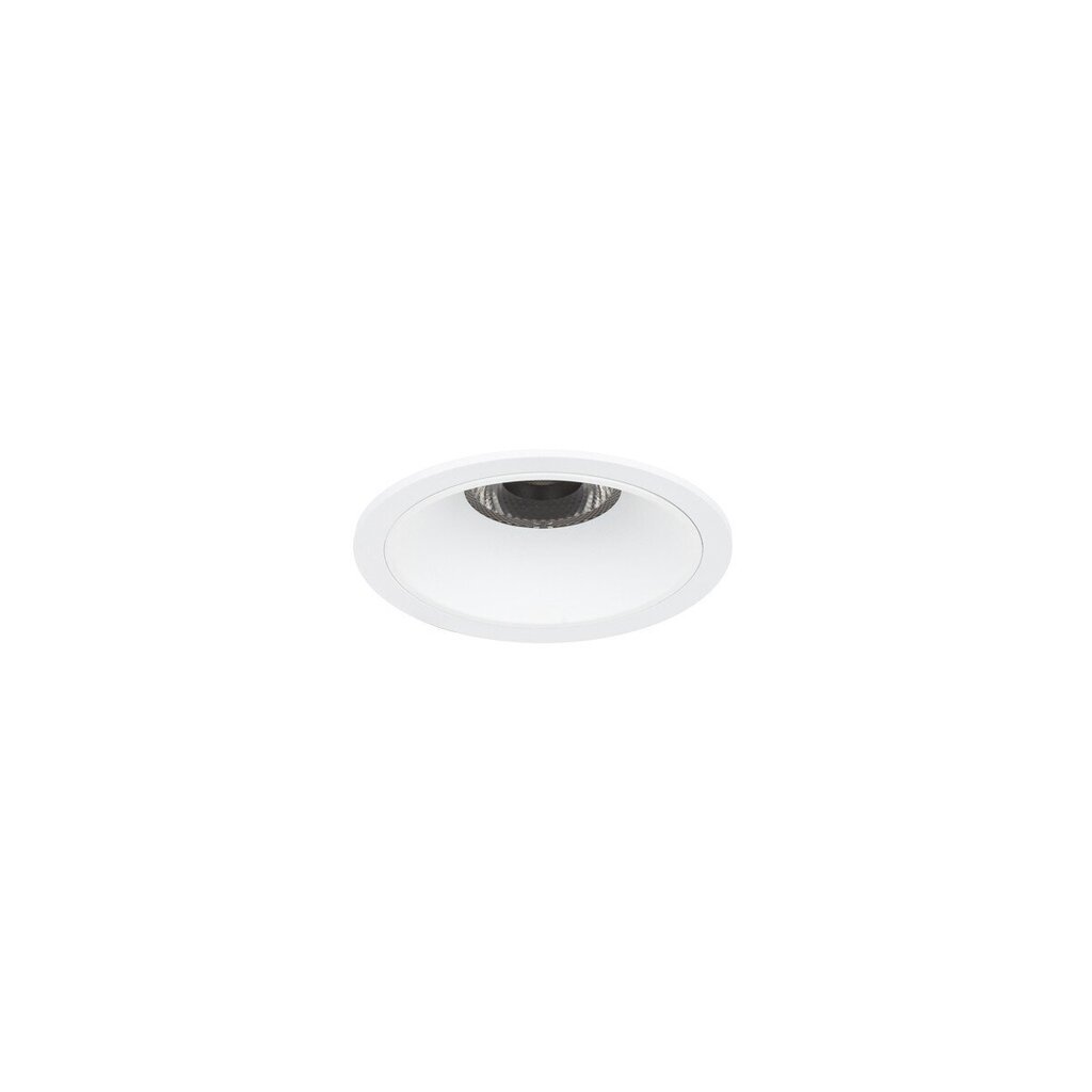 Süvistatavad tuled Avelina RCS-9866-110-15W-WH-SWK hind ja info | Süvistatavad LED valgustid | hansapost.ee