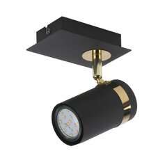 Настенный светильник Verano  SPL-2031-1 цена и информация | Потолочные светильники | hansapost.ee
