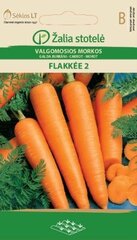 Морковь Flakkee 2, 5 g цена и информация | Семена овощей, ягод | hansapost.ee