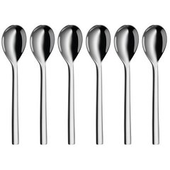 Wmf Teaspoon Nuova цена и информация | Столовые приборы | hansapost.ee