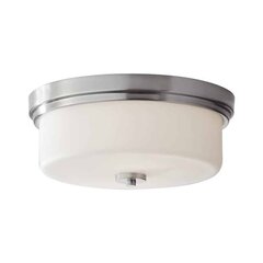 Elstead Lighting laevalgusti Kincaid цена и информация | Потолочные светильники | hansapost.ee