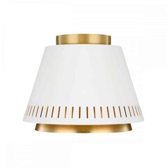 Elstead Lighting laevalgusti Carter цена и информация | Потолочные светильники | hansapost.ee