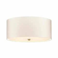 Elstead Lighting laevalgusti Fletcher hind ja info | Laelambid | hansapost.ee