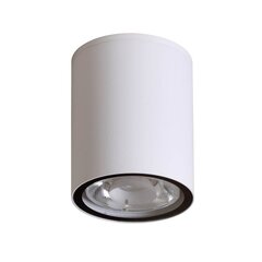 Потолочный светильник Italux Fano цена и информация | Потолочные светильники | hansapost.ee