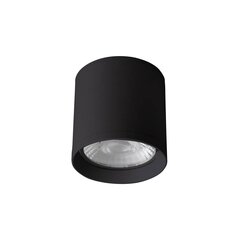 Потолочный светильник Italux Cervia цена и информация | Потолочные светильники | hansapost.ee