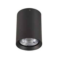 Потолочный светильник Italux Cervia цена и информация | Потолочные светильники | hansapost.ee