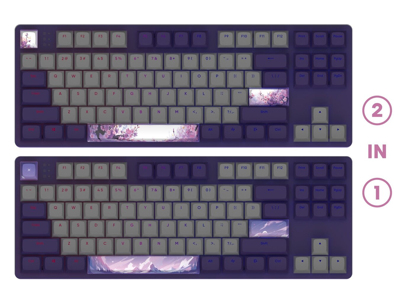 Klaviatuur Dark Project One 87 Violet Horizons, G3MS Sapphire Switch, US hind ja info | Klaviatuurid | hansapost.ee