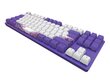 Klaviatuur Dark Project One 87 Violet Horizons, G3MS Sapphire Switch, US hind ja info | Klaviatuurid | hansapost.ee