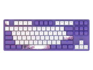 Dark Project One 87 Violet Horizons, G3MS Sapphire Switch, US цена и информация | Клавиатуры | hansapost.ee