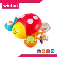 Развивающая Божья коровка Winfun цена и информация | Игрушки для малышей | hansapost.ee