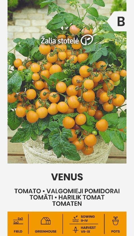 Tomatid Venus hind ja info | Marja- ja köögiviljaseemned | hansapost.ee