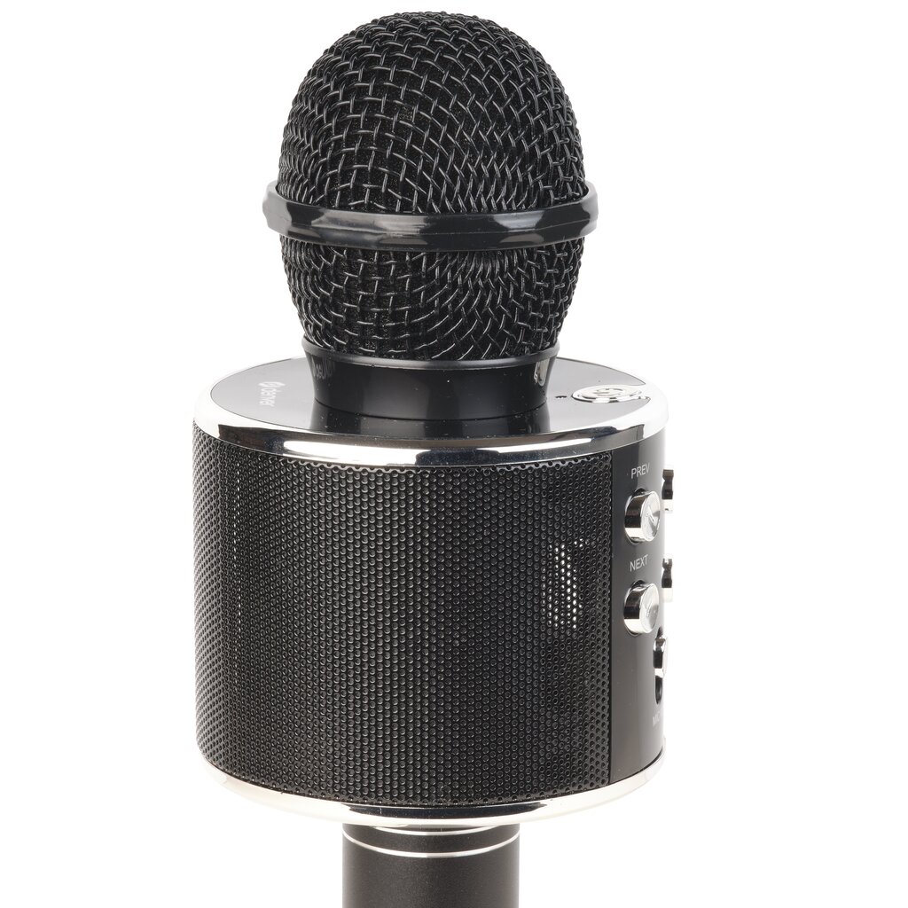 Denver KMS-20BMK2 Black цена и информация | Mikrofonid | hansapost.ee
