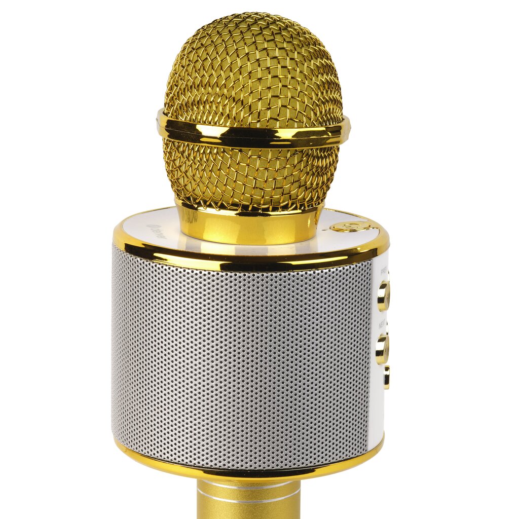 Denver KMS-20GMK2 Gold hind ja info | Mikrofonid | hansapost.ee