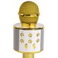 Denver KMS-20GMK2 Gold hind ja info | Mikrofonid | hansapost.ee
