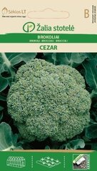 Брокколи Cezar цена и информация | Семена овощей, ягод | hansapost.ee