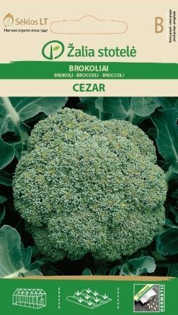 Brokkoli Cezar цена и информация | Marja- ja köögiviljaseemned | hansapost.ee