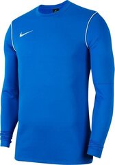 Джемпер молодежный Nike JR Park 20, 128 см, синий цвет цена и информация | Футбольная форма и другие товары | hansapost.ee
