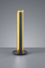 Trio светильник на стол Texel цена и информация | Настольные лампы | hansapost.ee