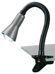 Trio светильник на стол Flexo цена и информация | Настольная лампа | hansapost.ee