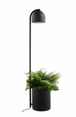 Kaspa настольный светильник Botanica цена и информация | Настольная лампа | hansapost.ee
