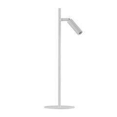 TK Lighting lauavalgusti Lagos hind ja info | Laualambid | hansapost.ee