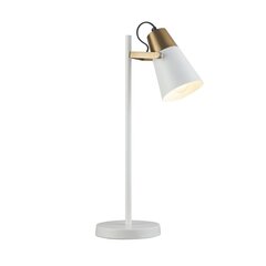 Endon настольный светильник Gerik цена и информация | Настольная лампа | hansapost.ee