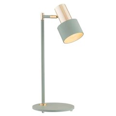 Argon настольный светильник Doria цена и информация | Настольная лампа | hansapost.ee
