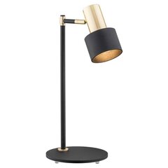 Argon настольный светильник Doria цена и информация | Настольная лампа | hansapost.ee