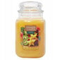 Lõhnaküünal Yankee Candle Tropical Starfruit, 623g цена и информация | Küünlad, küünlajalad | hansapost.ee