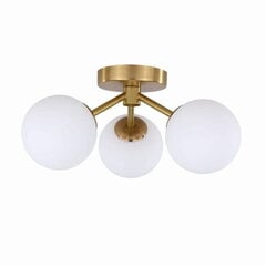 Light Prestige светильник на потолок Dorado цена и информация | Потолочные светильники | hansapost.ee