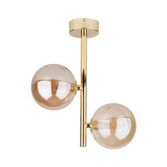 TK Lighting laevalgusti Estera hind ja info | Laelambid | hansapost.ee