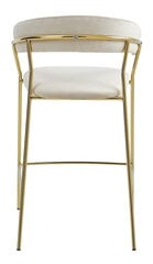 Набор из 2-х стульев Leobert Badia, золотистого/песочного цвета цена и информация | Стулья для кухни и столовой | hansapost.ee