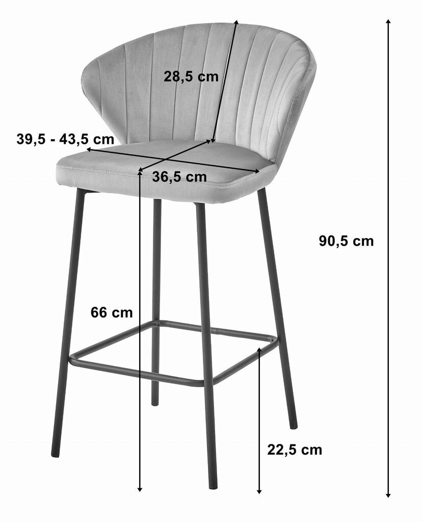 2-toolide komplekt Leobert Gatta, hall/must цена и информация | Köögitoolid, söögitoolid | hansapost.ee