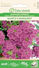 Гибридная вербена Quartz H Burgundy цена и информация | Семена цветов | hansapost.ee
