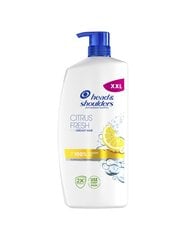 Šampoon Head & Shoulders Citrus Fresh Shampoo, 800ml цена и информация | Шампуни | hansapost.ee