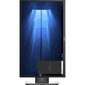 Dell P2417H LED 1920x1080 IPS DisplayPort HDMI цена и информация | Monitorid | hansapost.ee