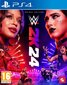 WWE 2K24 Deluxe Edition hind ja info | Konsooli- ja arvutimängud | hansapost.ee