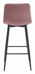 Комплект из 3-х стульев Leobert Pozza, розовый/черный цена и информация | Стулья для кухни и столовой | hansapost.ee