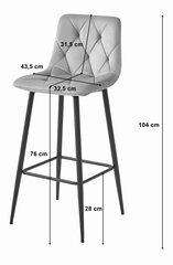 4-toolide komplekt Leobert Nado, hall/must hind ja info | Köögitoolid, söögitoolid | hansapost.ee