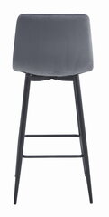 2-toolide komplekt Leobert Nado, hall/must hind ja info | Köögitoolid, söögitoolid | hansapost.ee